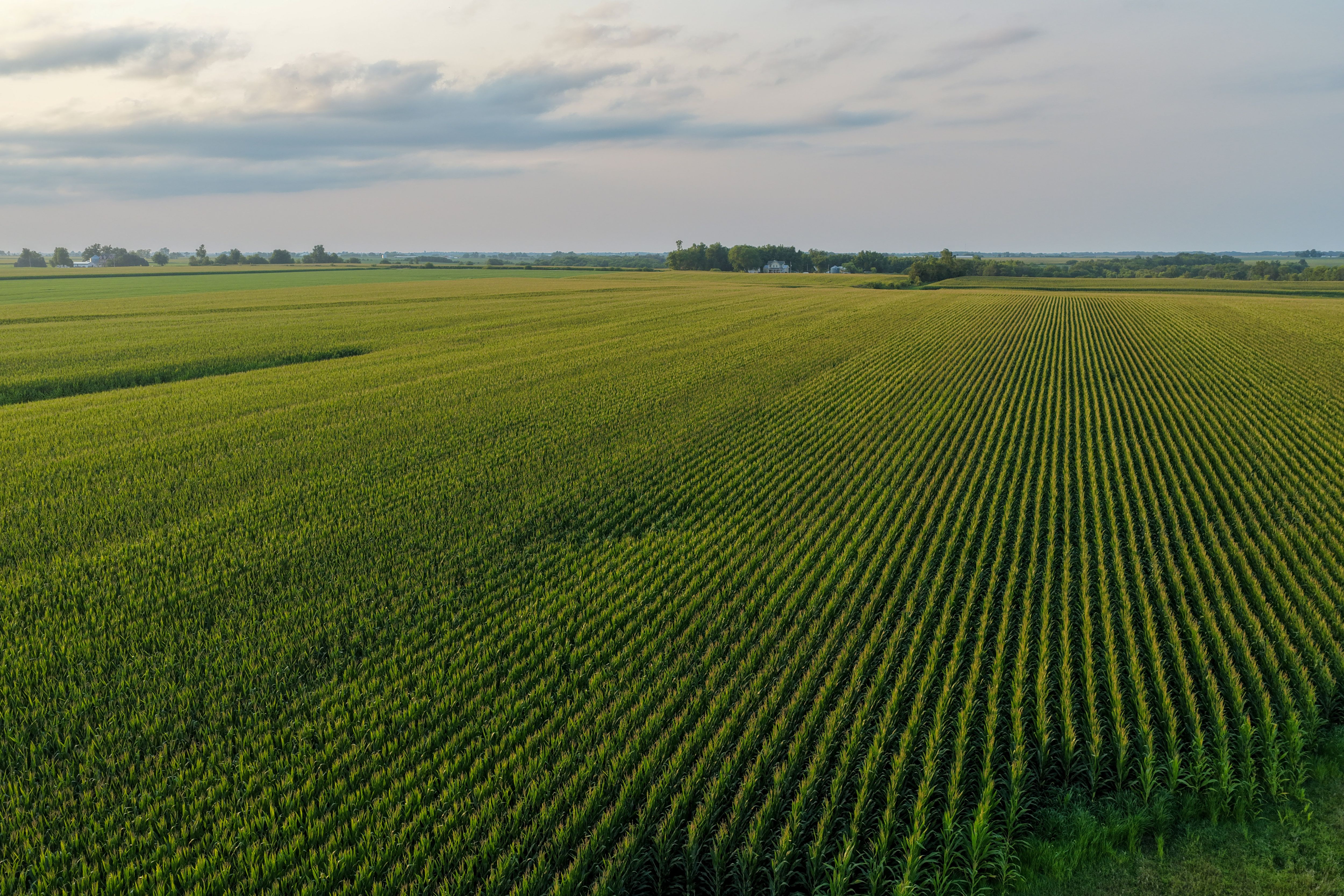 Listing Photo: Land for Sale Washignton County Iowa-11